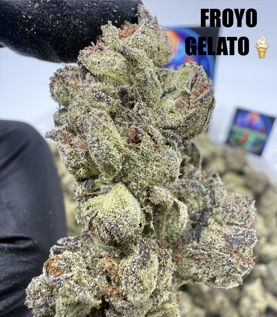 FROYO GELATO Slide 2